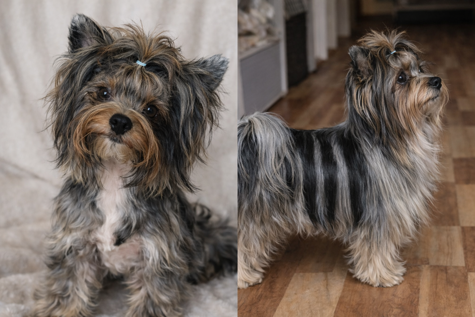 ChatGPT Image 5. 2. 2026, 17_26_54